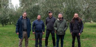 Rezidba maslina: temelj uspješne maslinarske godine