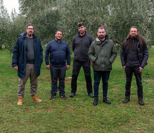 Rezidba maslina: temelj uspješne maslinarske godine