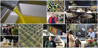 Poljoprivredna emisija Boje zemlje 16.11.2025.