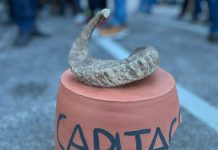 Barbanska tradicionalna pučka igra Capita Corno Capita Corno, FOTO: TZ Barban