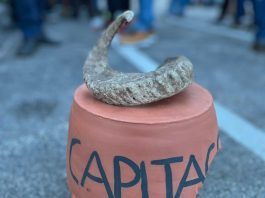 Barbanska tradicionalna pučka igra Capita Corno Capita Corno, FOTO: TZ Barban