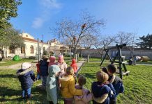 U DV Medulin u Premanturi orezana stabla i posađena mlada ladonja