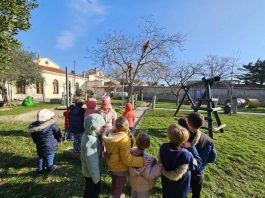 U DV Medulin u Premanturi orezana stabla i posađena mlada ladonja
