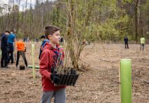 Svjetski dan šuma: Prilika za pošumljavanje