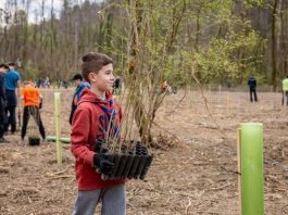 Svjetski dan šuma: Prilika za pošumljavanje
