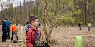 Svjetski dan šuma: Prilika za pošumljavanje