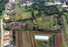 Pula raspisala 4. javni poziv za urbane vrtove u Lošinjskoj i na Gregovici