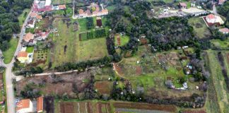 Pula raspisala 4. javni poziv za urbane vrtove u Lošinjskoj i na Gregovici