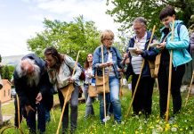 Kršan 25. i 26. travnja domaćin 15. Festivala samoniklog bilja