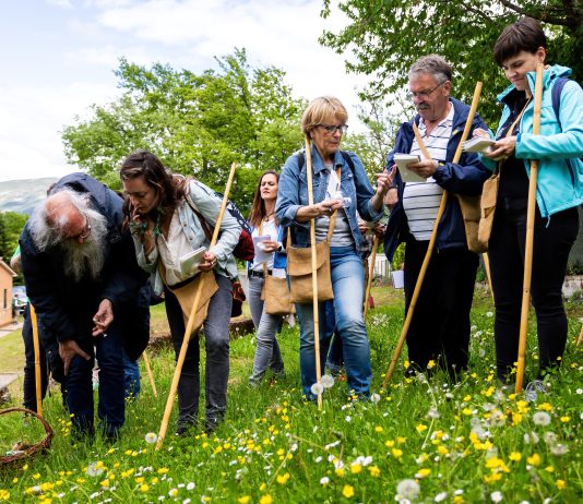 Kršan 25. i 26. travnja domaćin 15. Festivala samoniklog bilja