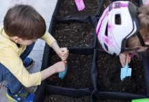 „Florastičan“ Monte Librić: „Uz učenje o knjizi, upoznavanje s ekologijom“