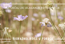 Udruga Biom povodom 20 godina djelovanja otvorila fotografski natječaj “Bioraznolikost u fokusu”