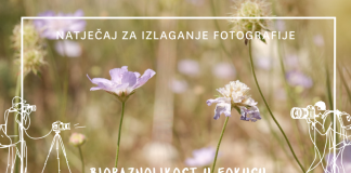 Udruga Biom povodom 20 godina djelovanja otvorila fotografski natječaj “Bioraznolikost u fokusu”