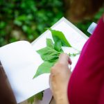 Festival samoniklog bilja i ove godine okupio brojne posjetitelje u Kršanu