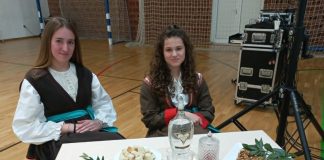 Festival zavičajnosti: Ljubav prema zavičaju, tradiciji i identitetu