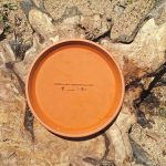 Ljetne su vrućine – izradite pojilice za ptice!