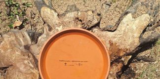 Ljetne su vrućine – izradite pojilice za ptice!