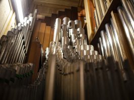 “Kraljica instrumenata” u Istri: Mnoge crkve skrivaju vrijedne orgulje